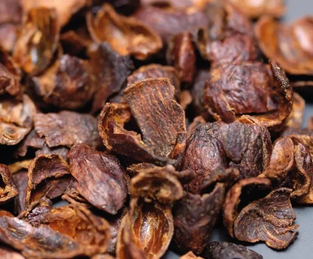 Cascara Costa Rica Santa Lucia infuso 100 g caramello ibisco