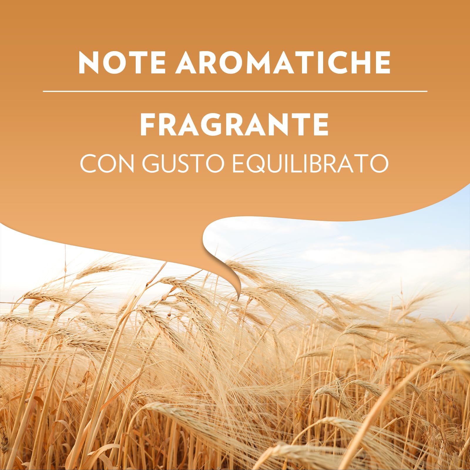 Lavazza A Modo Mio capsule orzo 120 pz gusto equilibrato