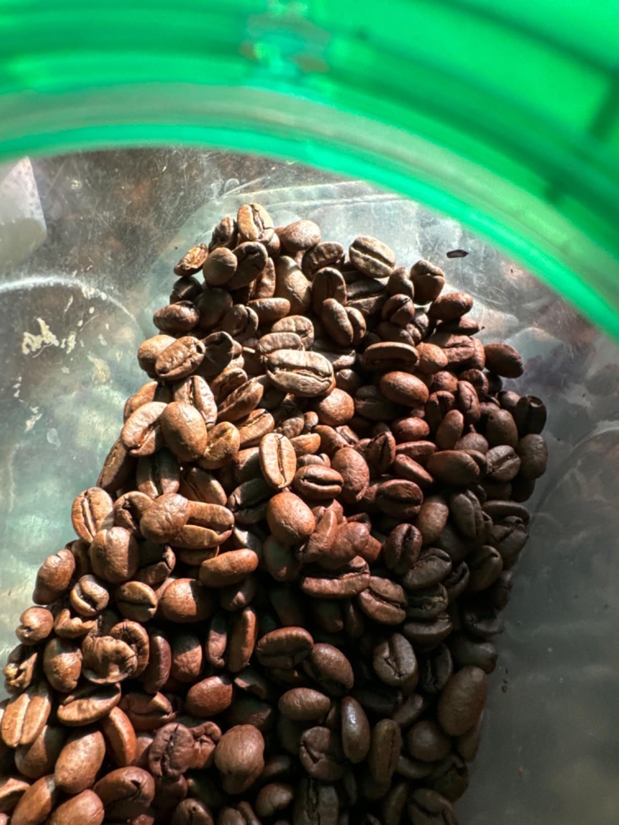Lavazza Qualità Oro caffè grani 1 kg 100% arabica dolce