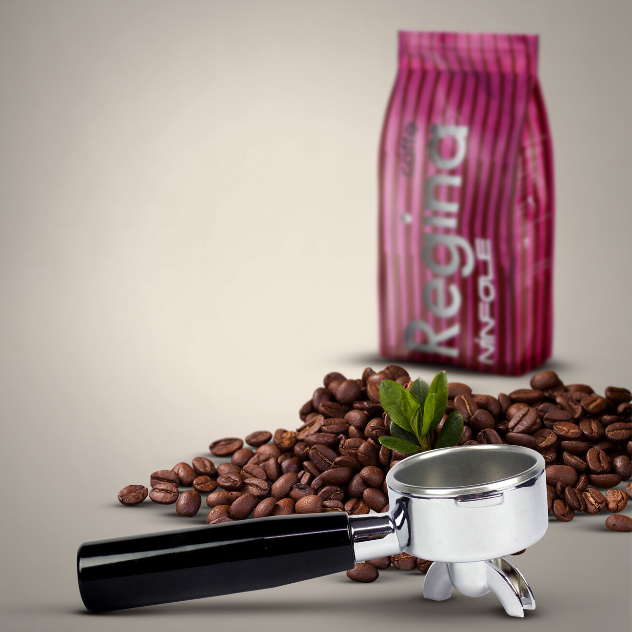 Caffè Ninfole Regina caffè in grani 1 kg gusto forte